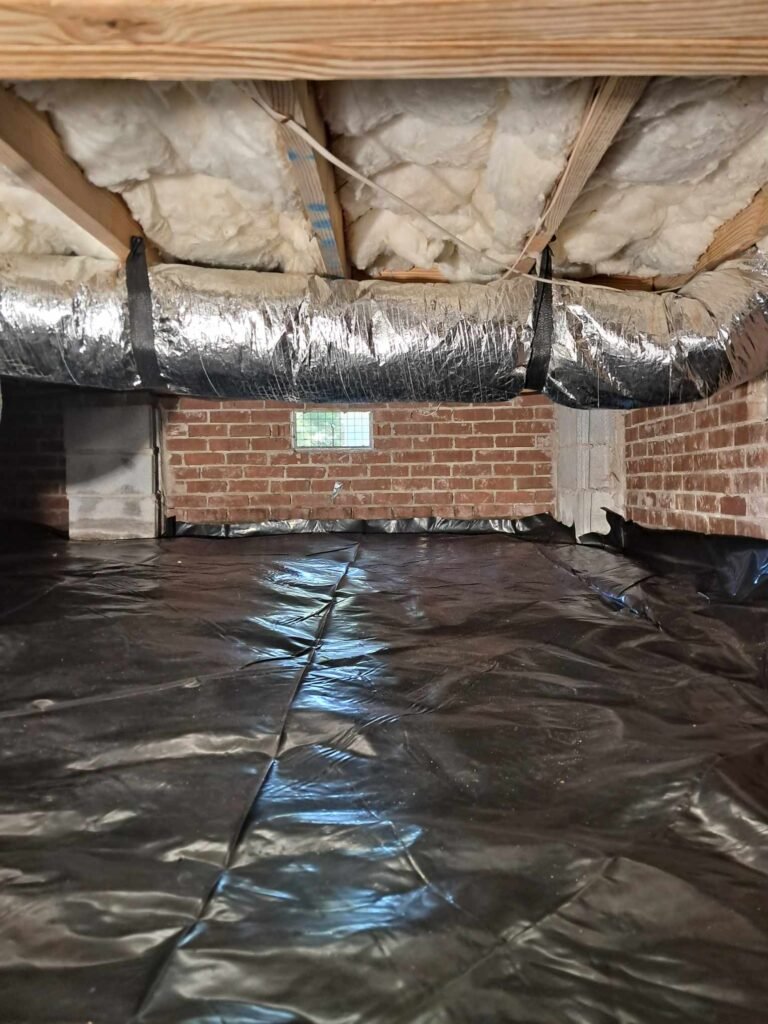 449136021_798233592081530_3925193697422992113_n