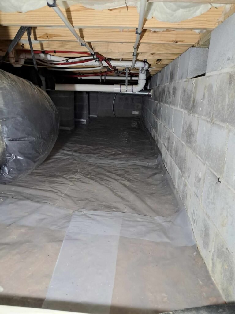 451104981_467251116238286_4441392236024117543_n