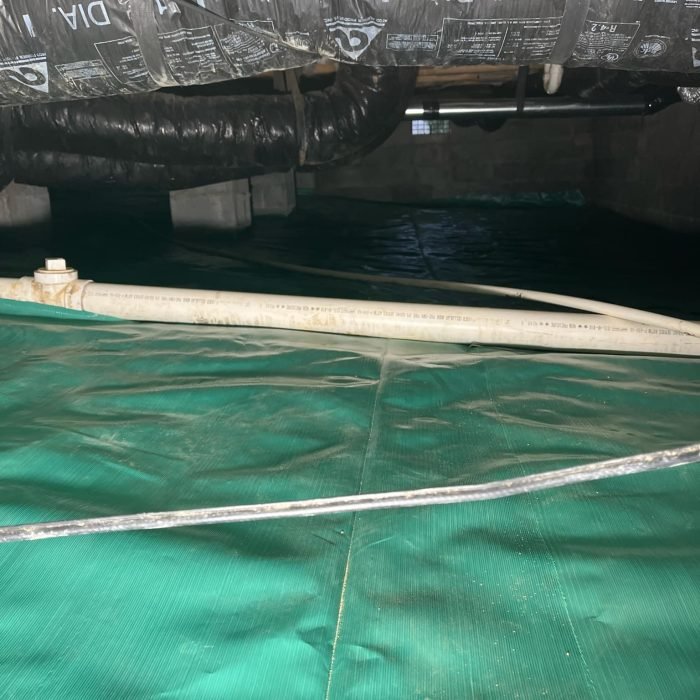 14e8f65a-2a3c-4f13-8684-053f47832974