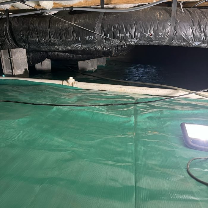 1c55e66c-b431-4274-8fbd-43e39e691cb7