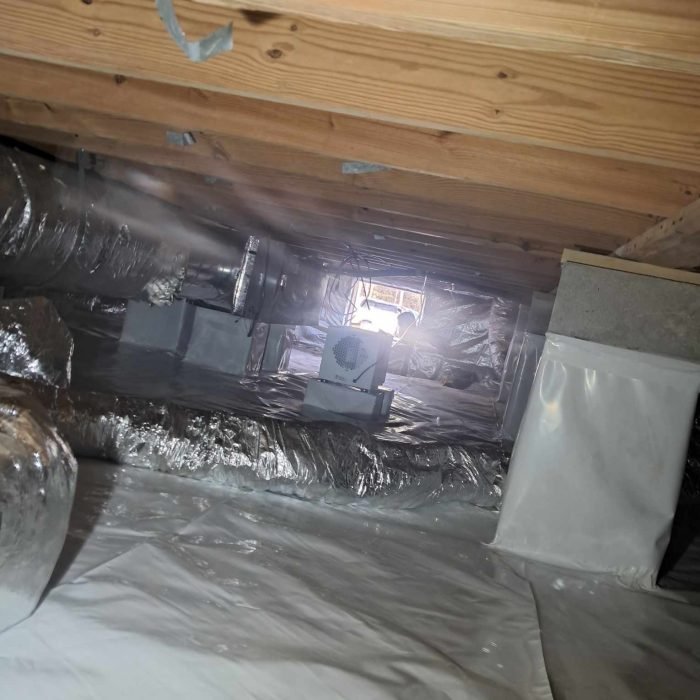 36d5bebf-aa53-4058-8c33-b7f054d48116