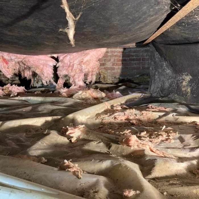 434635892_424985880249956_728998753940413070_n