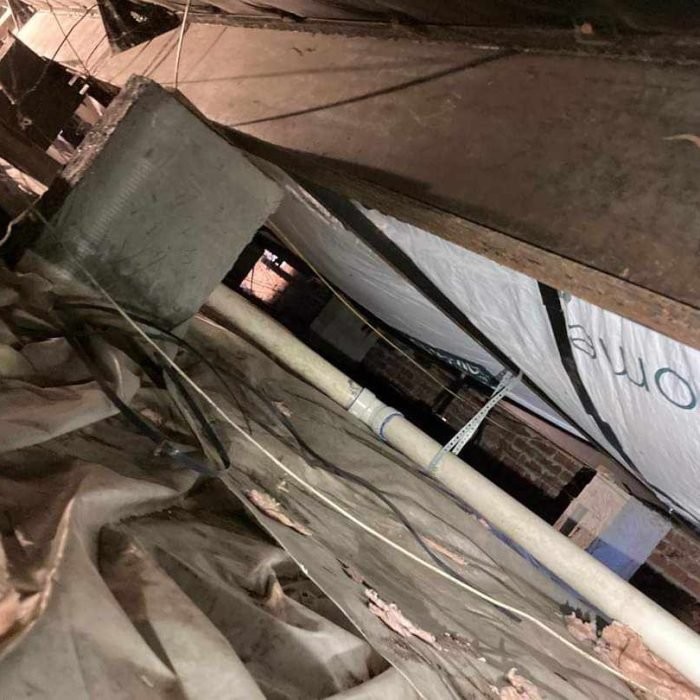 437714049_728998489157786_6103388402030585088_n