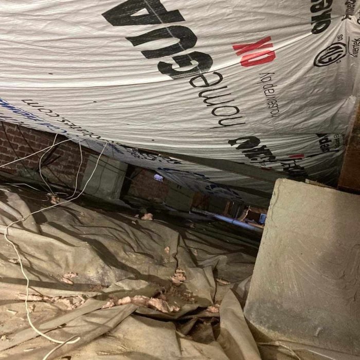 437758341_798491752384176_4038667856866315486_n