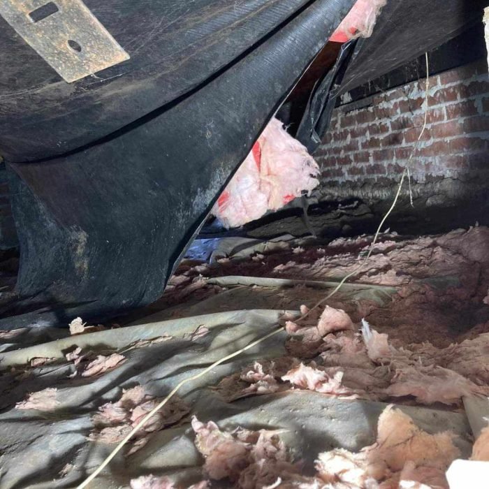 437758342_453705247167049_5254186033559629184_n