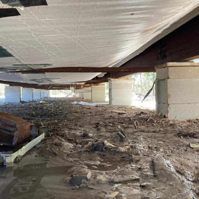 440308898_1165407501130374_3054450841379881308_n