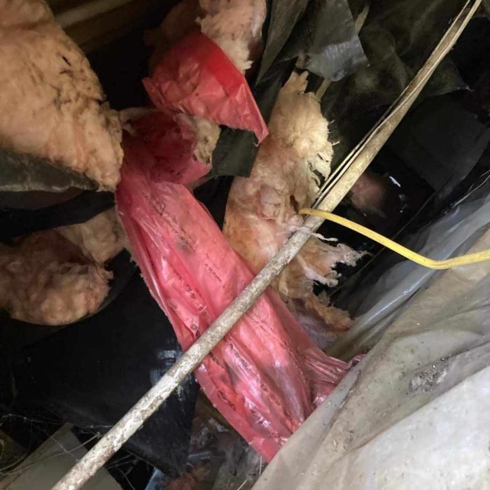 440461219_1468428024057573_2620684467460801506_n