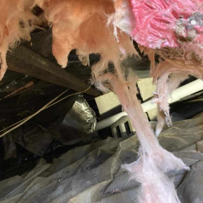 440582038_412049508385975_7603259987241011584_n