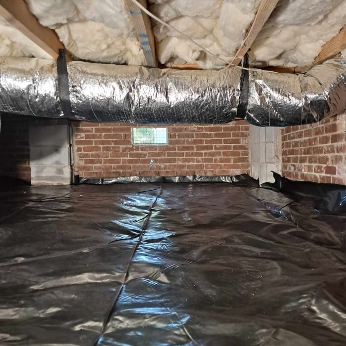 449136021_798233592081530_3925193697422992113_n