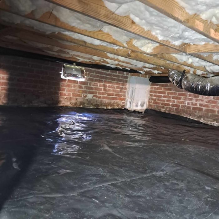 449342466_434179156283398_1360486504949228851_n