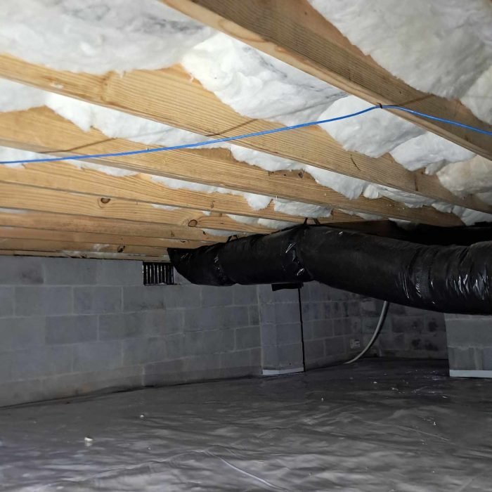 450930806_467223862832523_1146190920401583325_n