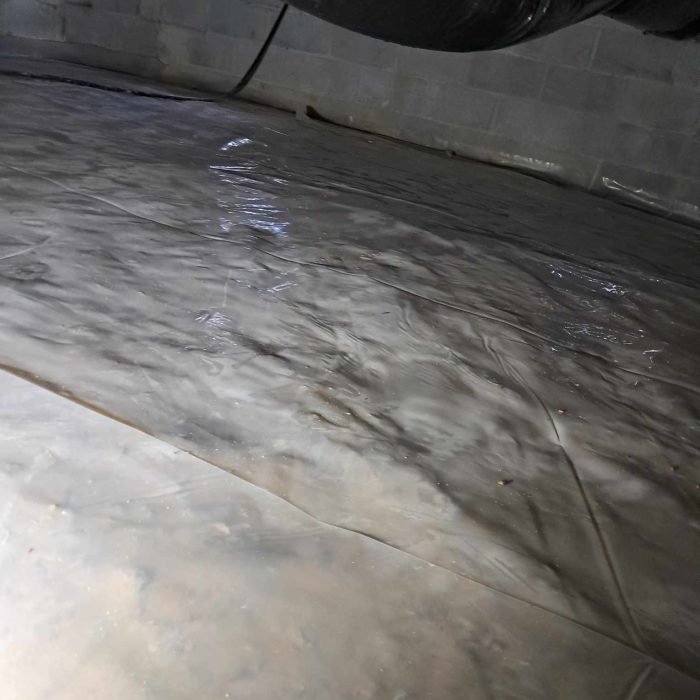 451706154_1219274595912309_6853278447644804647_n