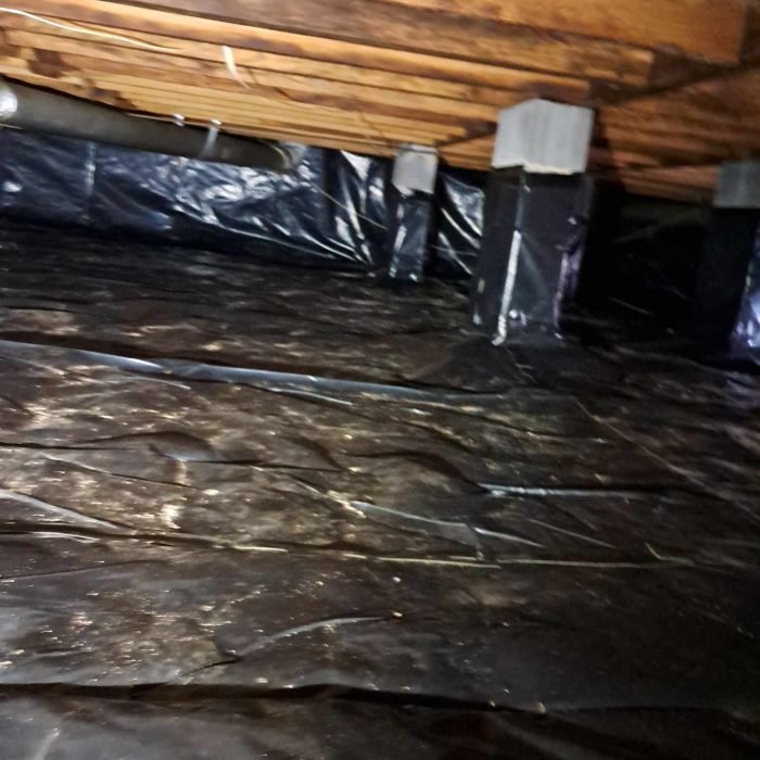 459615859_1085745846449451_3687621598285886984_n