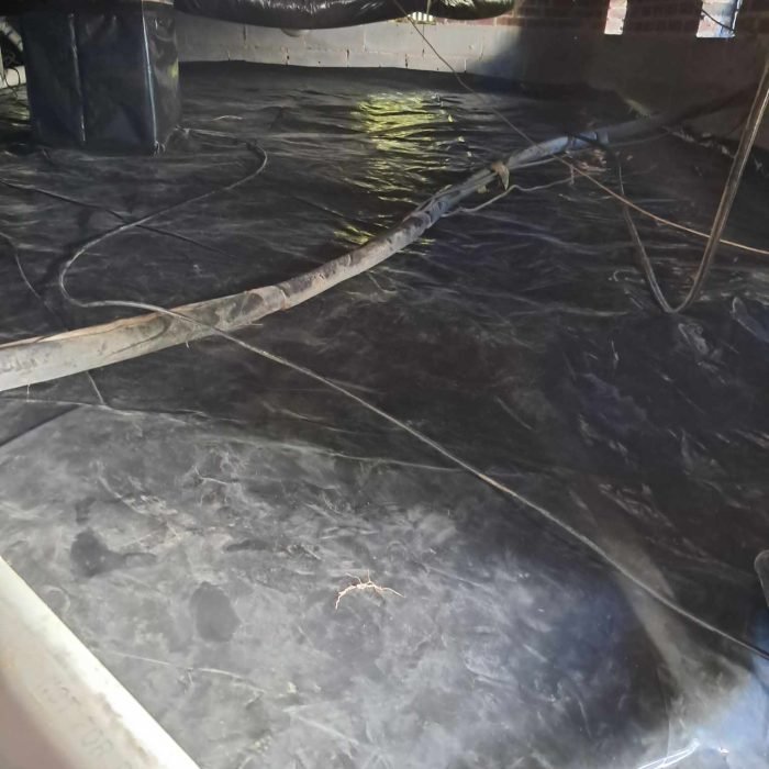 462549942_1255021232162432_5281188505569514498_n