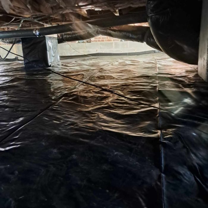 462558118_857037656194163_5683275973968889731_n