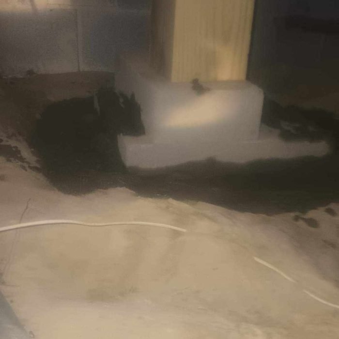 462567038_1211137126616881_9021323738041449240_n