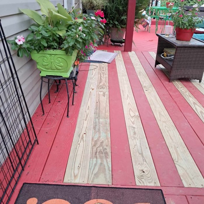 462572116_1355171122489650_5981442575440875473_n