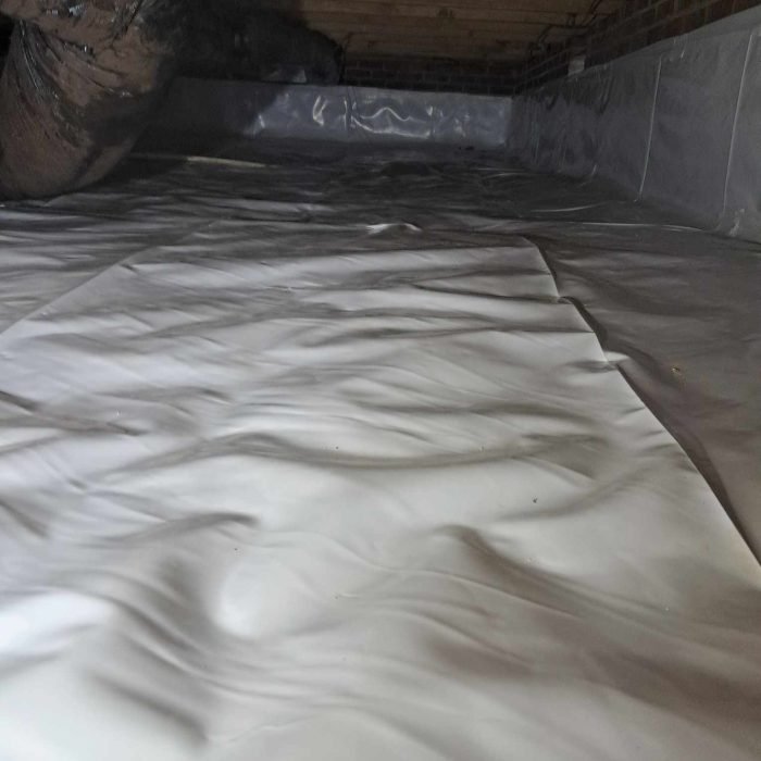 462579865_2013593075765207_8782996588694637696_n