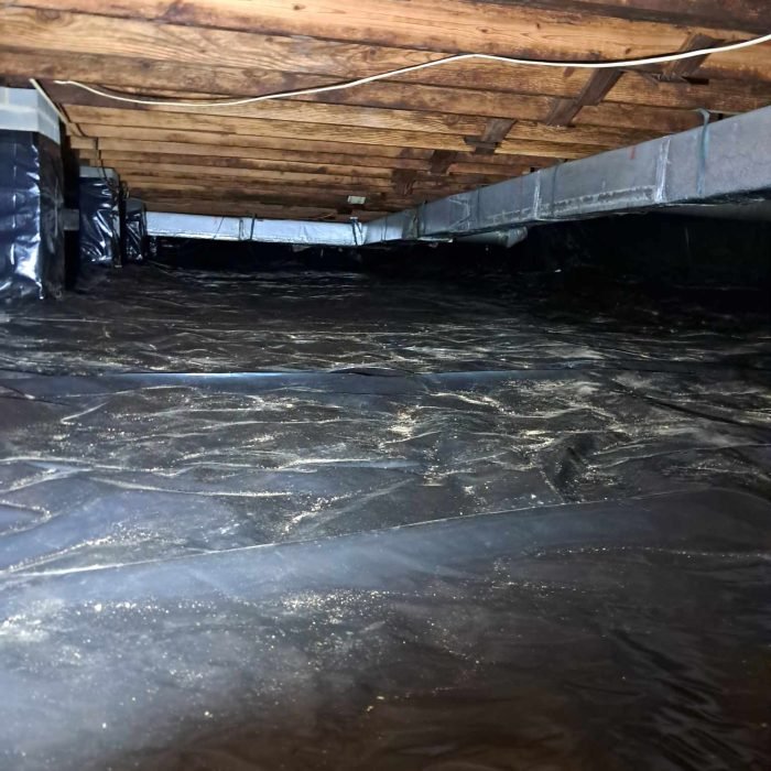 462580053_1290211572290697_8569666037142259083_n