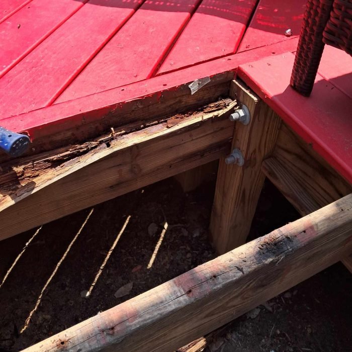 462583263_929998225752827_5245581024464687861_n