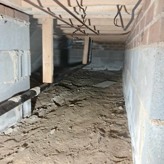 466813794_2265299310509438_3662503168816085122_n