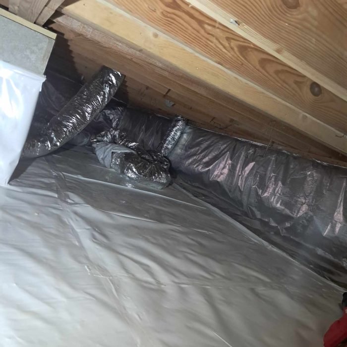 4d452aa9-4c82-4aa7-bcc4-872799b8c395