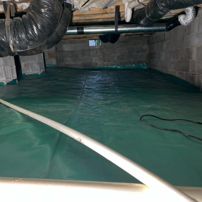 51163367-206a-4bcd-9970-9df7205aa164