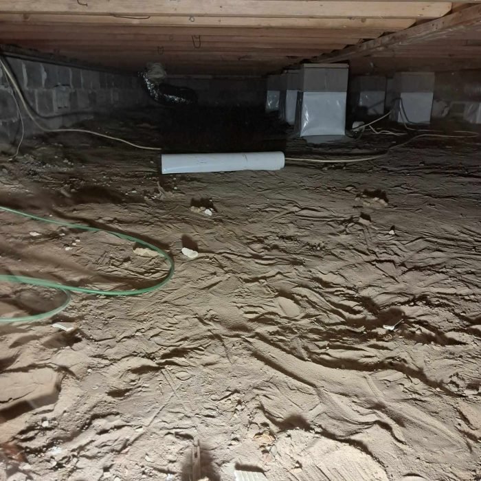 77a0145b-5c3c-4bff-9947-41d41a1baa1e