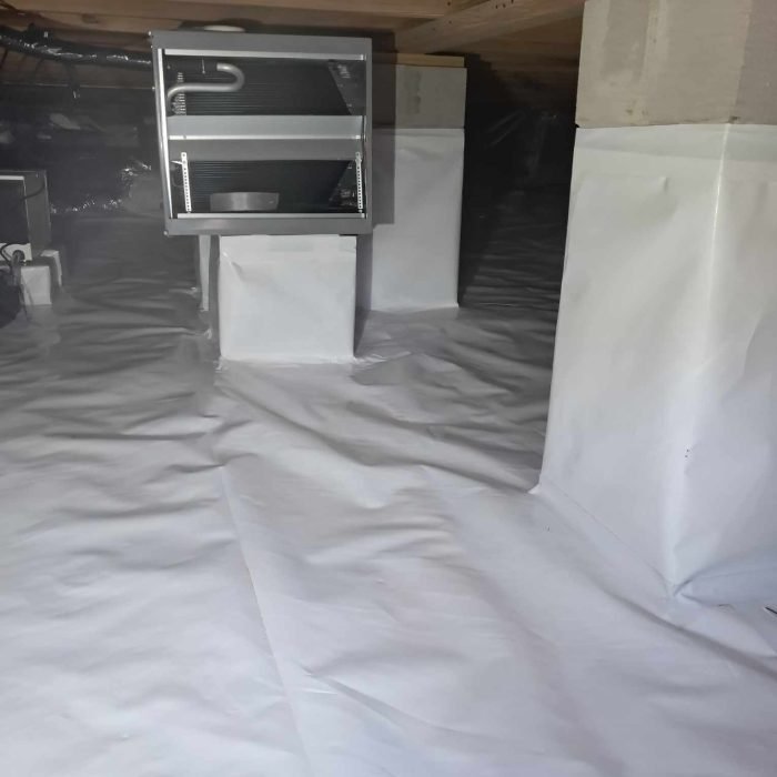 77a57ca7-ea41-4c50-b706-c9911221661b