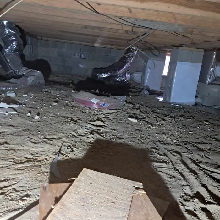 8f908bf5-405e-450a-8998-3ec1cafbcdb0