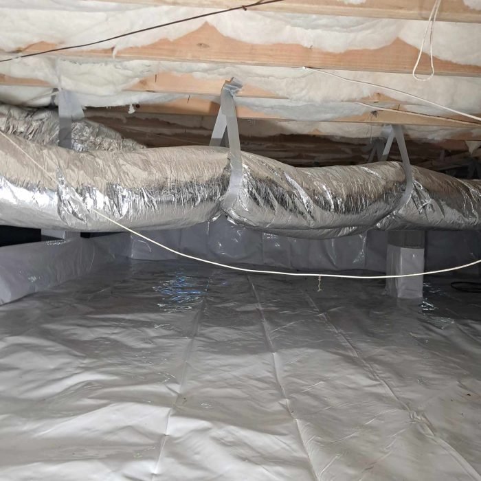 d9c0e210-b62b-47dc-95e6-66fb56d6e10e