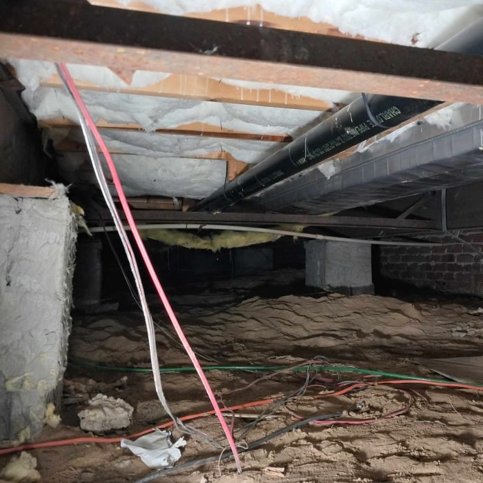 e0043301-3331-4de0-bbda-02e0cb3d04e6