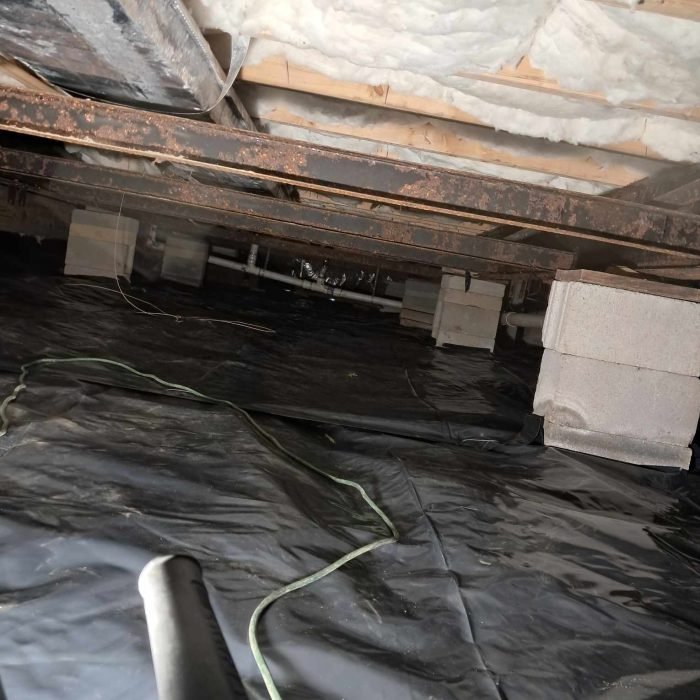 e0fc1f95-fb00-441e-9737-93a6029293dd