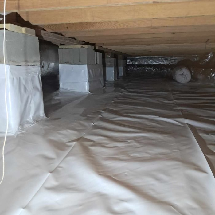 e5b7f7a9-aad9-401e-85cb-075690a83571