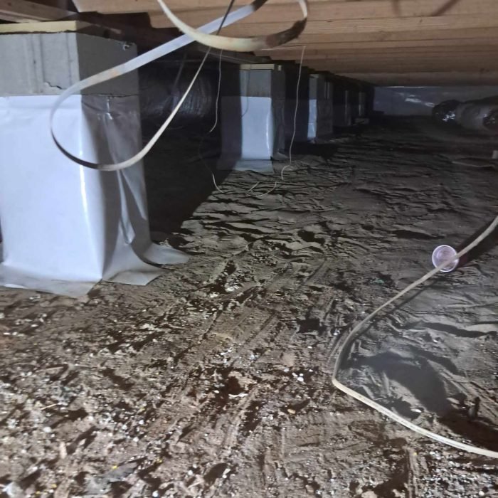 e9540909-0221-4d0e-a82a-362b134ce330