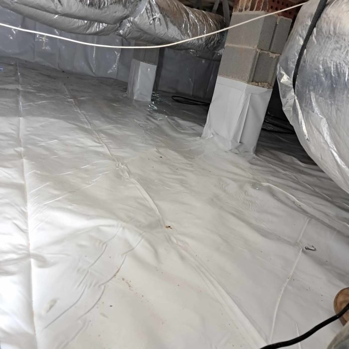 f6b8cad0-50e9-4203-918c-c3b6e7b7f07f