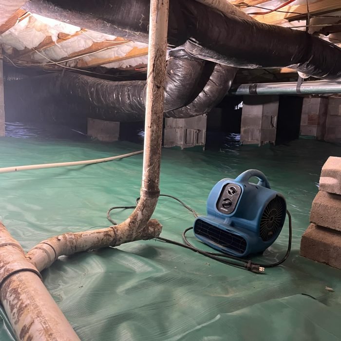 f7d148b7-1a23-4cd3-8990-f9bffe9eda07