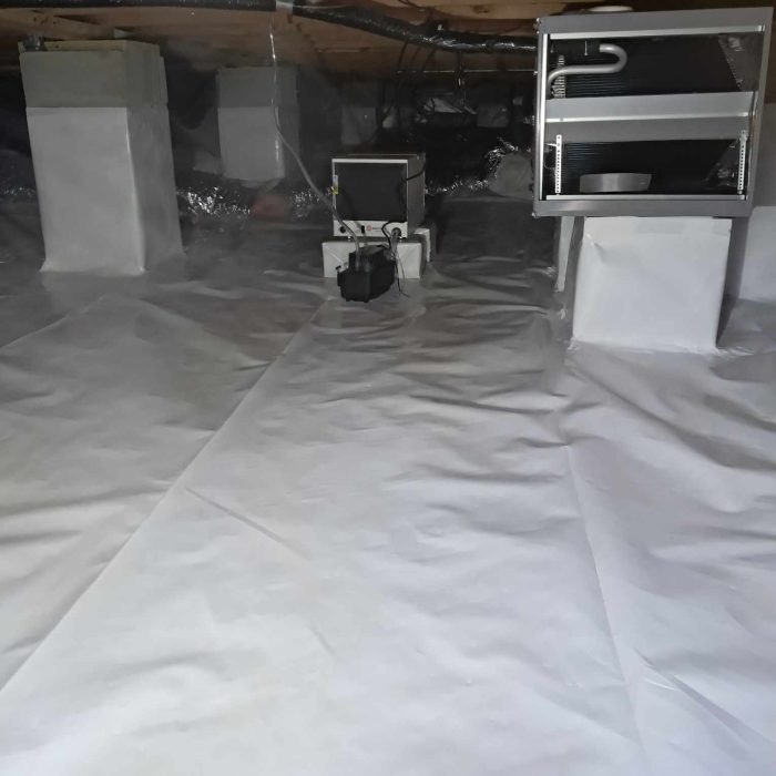 f8dad956-2e08-4658-9468-38e6fff76fa5